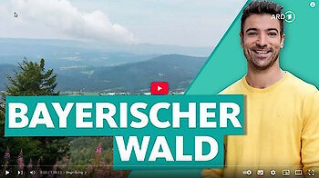 Bayerischer Wald – Deutschlands wildeste Seite